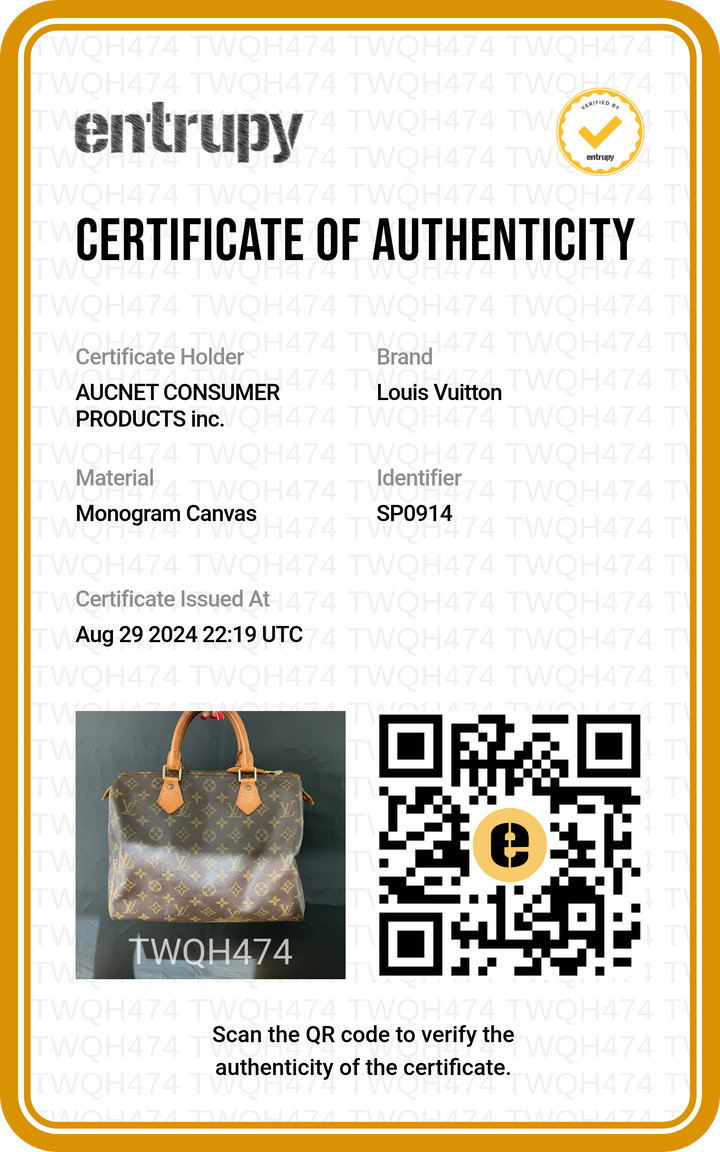 LOUIS VUITTON Monogram Speedy 30 Handbag - BAGPHIC